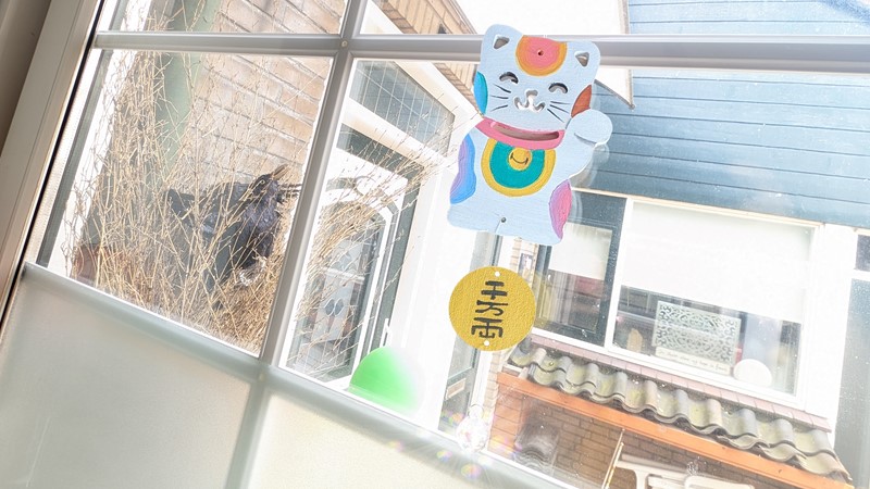 Zonnevanger decoreren met de DIY-kit van Aladine