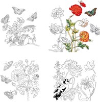 Fridolin Coloring Art Kit 4 Kleurplaten met Lijst 15x15 cm Maria Sibylla Merian-3