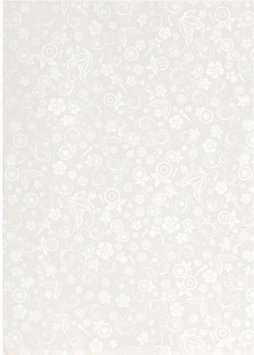 Glanzend Papier 80 gr A4 Off-white 20 vel