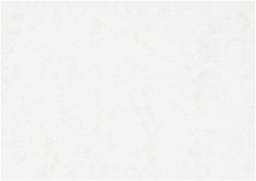 CC Watercolor paper 100 Sheet A3 White