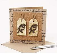 CC Karten & Umschläge 12,5x12,5 cm Natur 10 Stück-2