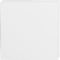 Artistline Canvas 30x30 cm Diepte 3.7cm-2