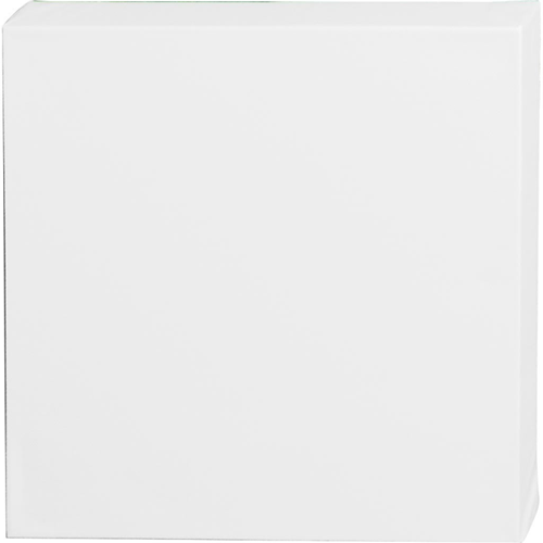 Artistline Canvas 30x30 cm Diepte 3.7cm-2