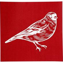CC Screen Stencil Vogel 20x22cm
