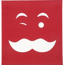 CC Screen Stencil Snor 20x22cm