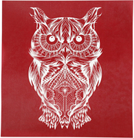CC Screen Stencil Uil 20x22cm