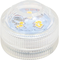 Folia LED Decorative Lights 10-pack, Includes 20 Batteries