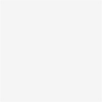 CC Linoleum Verf 85ml wit-2