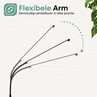 SBR Pro Line Floor Lamp-3
