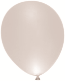 GC Ballonnen met LED Verlichting 25 cm Wit 5 stuks