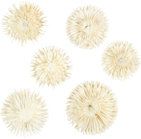 CC Gedroogde Bloemen Wit 6 stuks