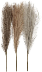 CC Pampa Gras Aardetinten 50 cm 3 stuks