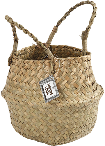 CC Mand van Zeegras 11/19 cm-2