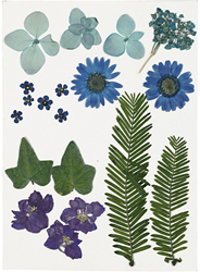 CC Gedroogde Bloemen en Bladeren 19 stuks Blauw