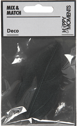 Skelettblätter 6 cm Schwarz 20 Stück-2