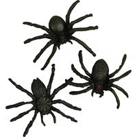 CC Zwarte Spinnen 10 stuks
