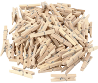 CC Clothes Pegs, L: 30 mm, W: 3 mm, 100 pc/ 1 pack