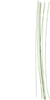 CC Floral stem wire, green, L: 30 cm, Dia. 0,6 mm, 20 pc/ 1 pack