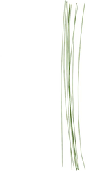 CC Floral stem wire, green, L: 30 cm, Dia. 0,6 mm, 20 pc/ 1 pack