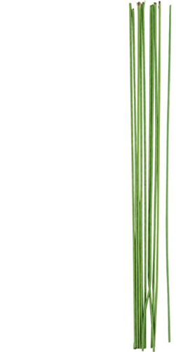 CC Bloemsteeldraad 30 cm Groen 20 Stuks