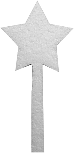 Toverstaafje
