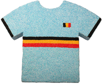 Styropor Voetbalshirt 24x30x3.5cm -2