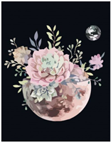 Rosa Start Paint by Number Flower Planet 35x45 cm