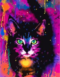 Rosa Start Malen nach Zahlen Weltraumkatze 35x45 cm