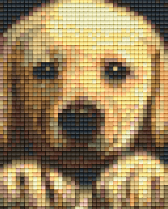 Pixelhobby Classic Goldenretriever Puppy 10x12 cm