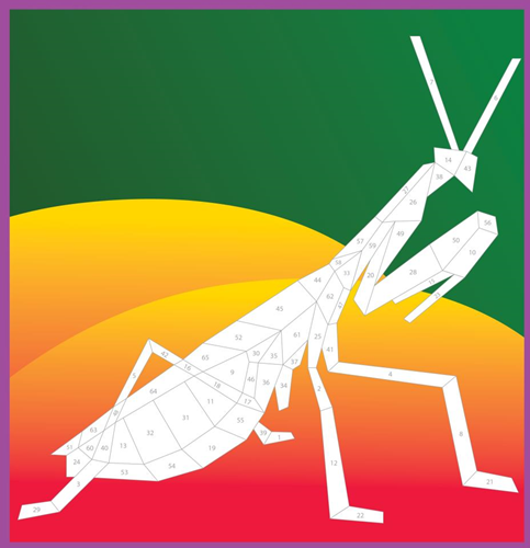 Paint by Stickers Stickerboek Insecten 23x23 cm-3