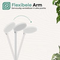 SBR Bright Daylight Lamp-3
