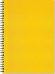 Artgecko Flashy Spiraal Schetsboek Portret 150gr 40 vel Wit Gele Omslag