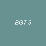 Blue Spruce