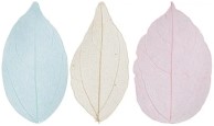 Skelet Bladeren 6 cm 20 stuks