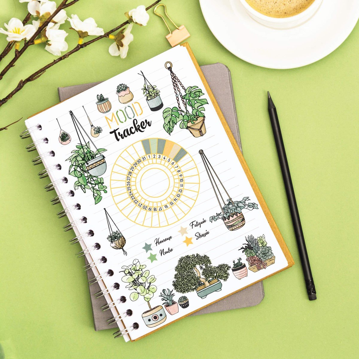 mood tracker bullet journal pagina