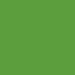 Cactus Glitter 