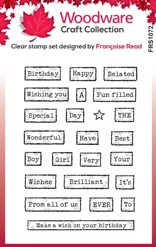 Woodware Birthday Tape Words Clear Stamps