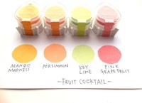 Tsukineko VersaMagic Fruit Cocktail Stamp Pad Set (4 pieces)-2