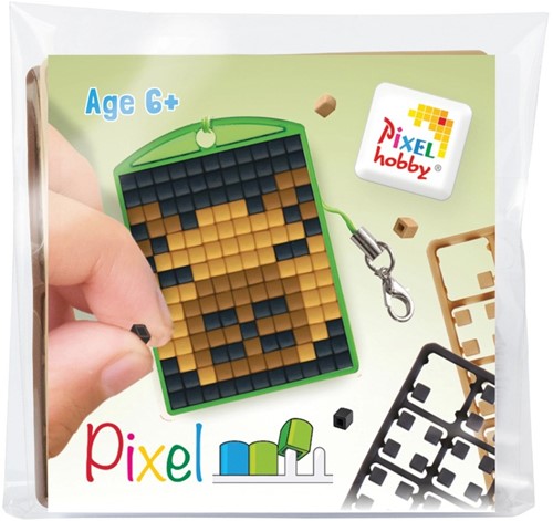 Pixelhobby Medaillon Starterset Capibara