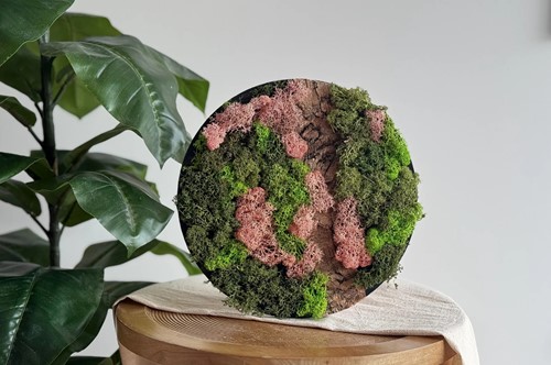 LC DIY Mosschilderij maken met Rendiermos Roze