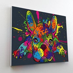 Splat Planet Paint by Numbers French Bulldog