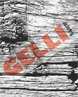Gelli Arts Foto Transfer Set Found Textures 20.3x25.4 cm-3