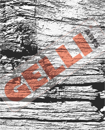 Gelli Arts Foto Transfer Set Found Textures 20.3x25.4 cm-3