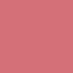 Salmon 0094