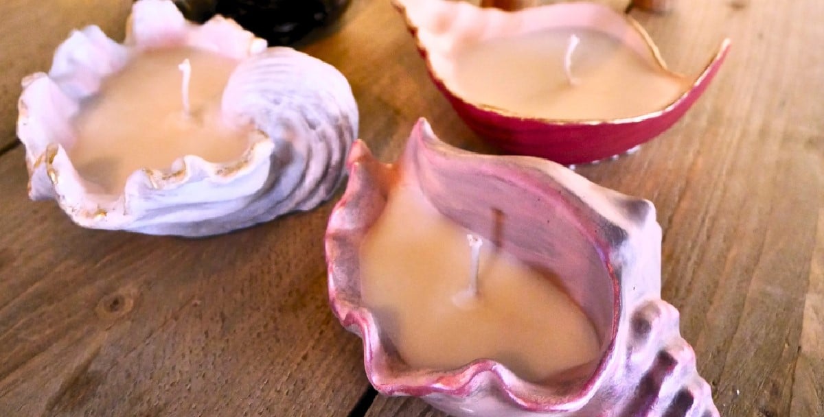 Sojawas kaarsen in Jesmonite schelpen