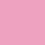 Kitch Flamingo