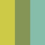 Mix Lime Squash