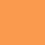Neon Oranje 