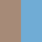 Blauw & Goud
