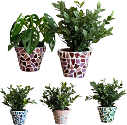 LC DIY Set - Mosaic Flowerpots 2-Piece